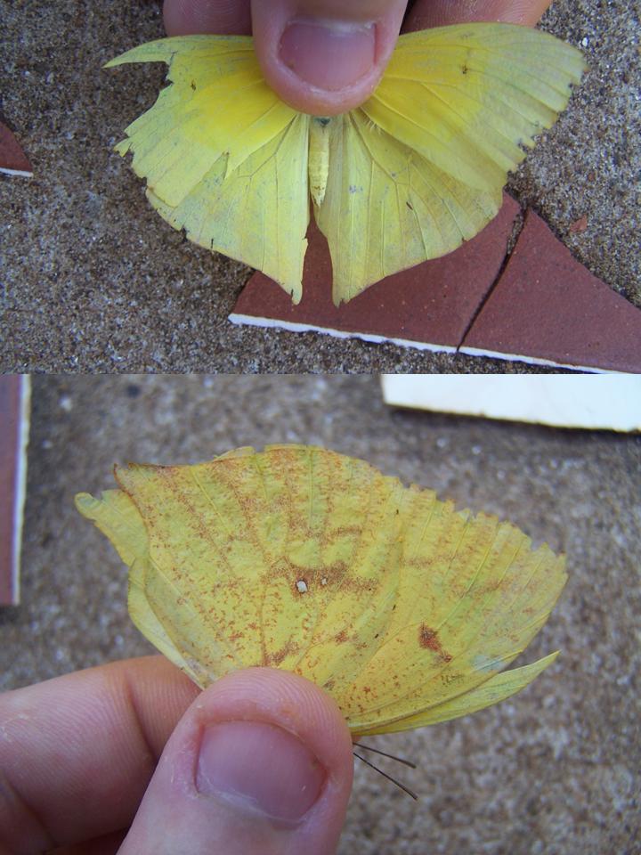 FIGURE 2 FIGURE 2
